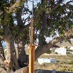 Santa Marina Syros Vila Liaropá