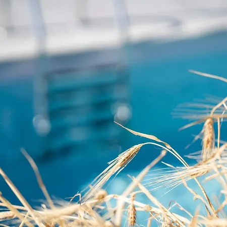 Villa Santa Marina Syros *