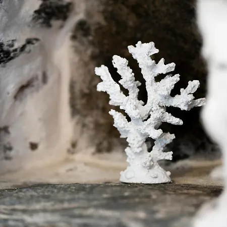 Santa Marina Syros * Liaropá