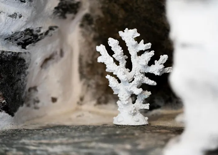 Santa Marina Syros * Liaropá